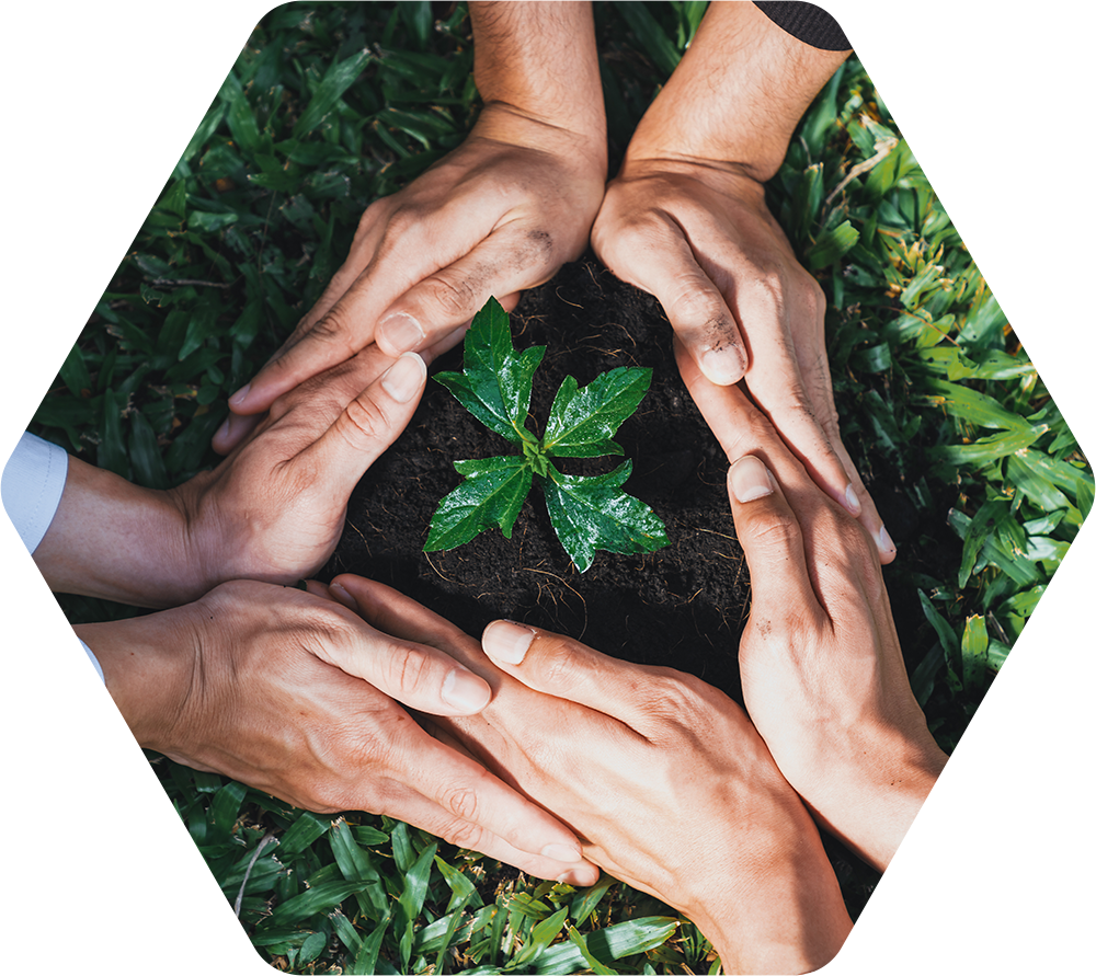 Beitrag_Nachhaltigkeit