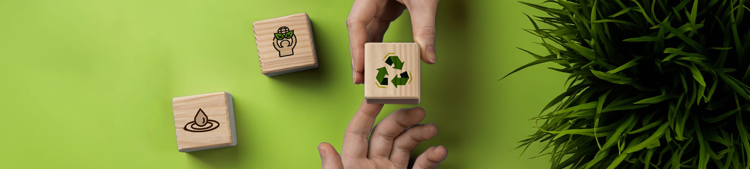Nachhaltigkeit Image